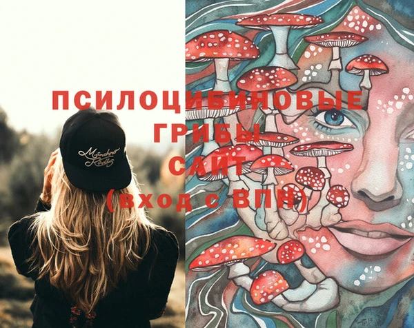 стафф Костерёво