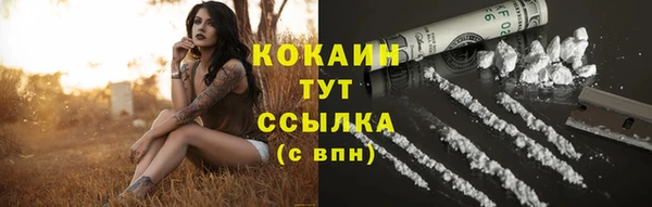 ешки Корсаков