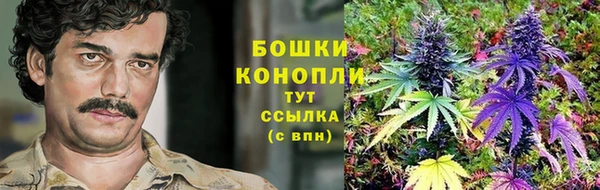спайс Коряжма